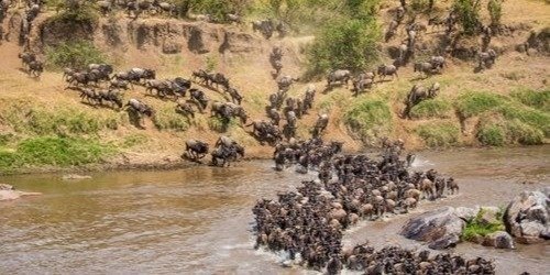 8 days Tanzania travel packages - Tanzania safari Serengeti