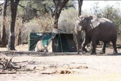 okavango delta 5 nights okavango delta 5 nights