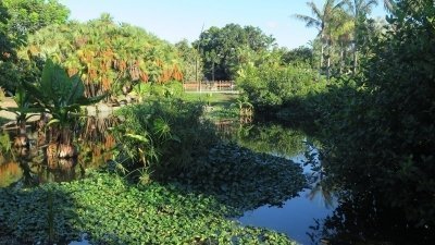 Palmetum Tenerife - Entry Tickets Palmetum Tenerife - Entry Tickets