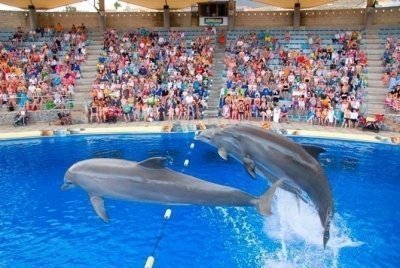 Aqualand Costa Adeje - Open Date Admission Tickets Aqualand Costa Adeje - Open Date Admission Tickets