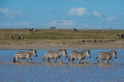 Serengeti migration Safari 5 days luxury Safari Tour
