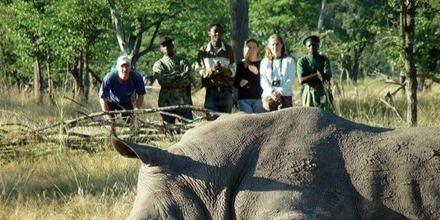 Game Drive And Rhino Walk Safari