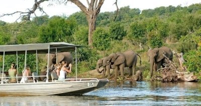 Chobe full day trip Chobe full day trip