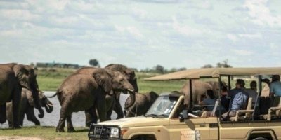 Transfers & Round-Trips