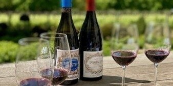 Wine, Food Tours & Tasting