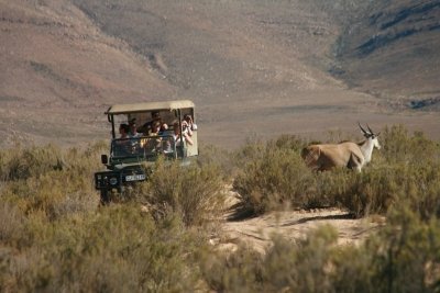 Private Aquila Safaris Big 5 full day. Cape Town Private Aquila Safaris Big 5 full day. Cape Town