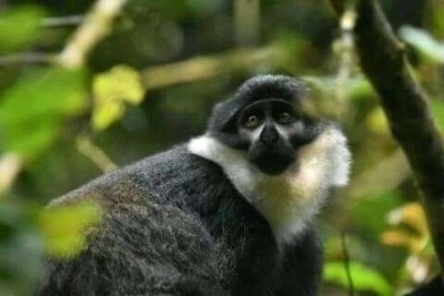 3 DAYS QUEEN ELIZABETH NATIONAL PARK