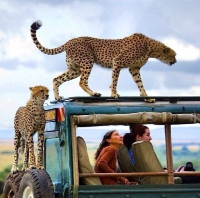 4 days Uganda safaris 4 days Uganda safaris