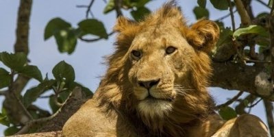 Sightseeing Day-Tours