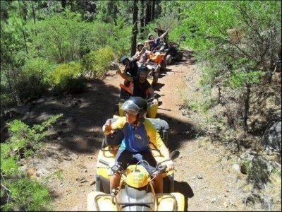 Forest Explorer Tour Quad Safari in Tenerife Forest Explorer Tour Quad Safari in Tenerife