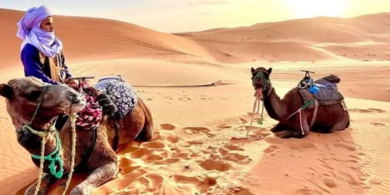 10 Days Morocco Sahara Desert Tours from Casablanca