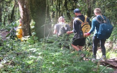 8 DAYS KILIMANJARO HIKING TOUR VIA LEMOSHO ROUTE