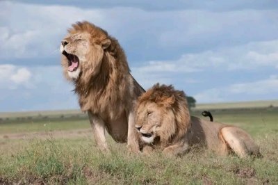 3 DAYS TANZANIA SAFARI | TARANGIRE, NGORONGORO & MAASAI VILLAGE LODGE 3 DAYS TANZANIA SAFARI | TARANGIRE, NGORONGORO & MAASAI VILLAGE LODGE