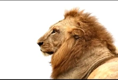 4 DAYS LUXURY SERENGETI-TANZANIA SAFARI LUXURY AND COSTS PACKAGE 4 DAYS LUXURY SERENGETI-TANZANIA SAFARI LUXURY AND COSTS PACKAGE