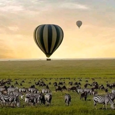 7 DAY GREAT SERENGETI MIGRATION SAFARI TOUR FROM NOVEMBER TO DECEMBER 7 DAY GREAT SERENGETI MIGRATION SAFARI TOUR FROM NOVEMBER TO DECEMBER