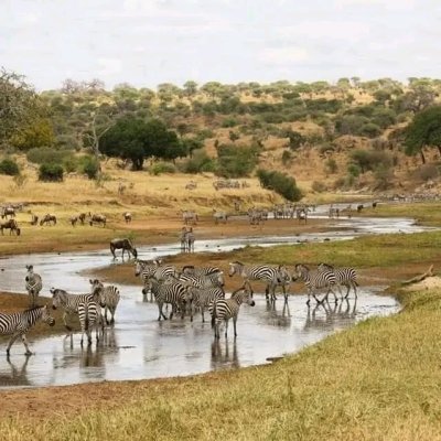 6 DAYS THE GREAT SERENGETI MIGRATION LUXURY SAFARI 2022 - 2023 6 DAYS THE GREAT SERENGETI MIGRATION LUXURY SAFARI 2022 - 2023