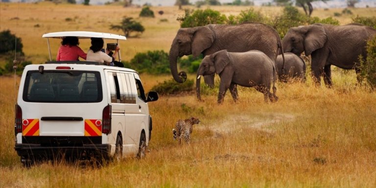 3 DAYS EXCITING MASAI MARA GROUP SAFARI