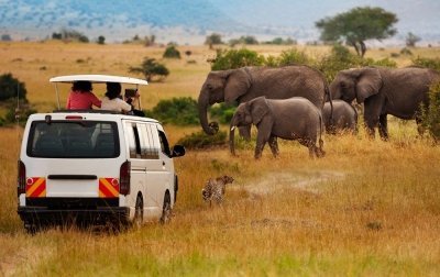 3 days masia mara group safari