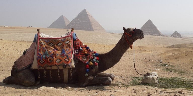 Full-day to Giza pyramids, Memphis and Sakkara