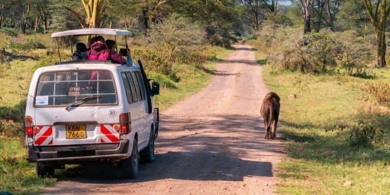 4 DAYS MASAI MARA AND NAKURU