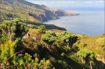 La Palma North-East - Private taxi tour in La Palma island La Palma North-East - Private taxi tour in La Palma island