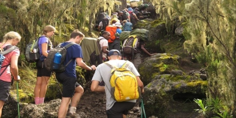 6 Days Kilimanjaro Trekking Via Machame route the whisky Dakado route