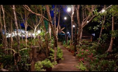 Puerto Princesa Firefly tour Puerto Princesa Firefly tour