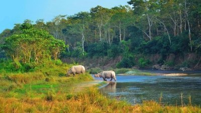 Day Rafting and Chitwan Jungle Safari Tour