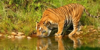 Water Activities & Sports