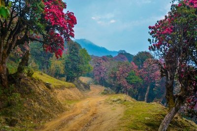 Milke Danda Trekking at  Kanchenjunga region