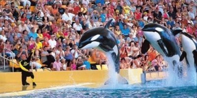 Transfers & Round-Trips