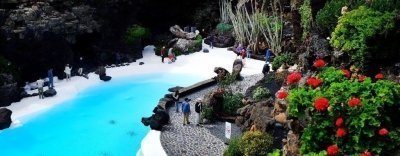 Shows & Entertainment