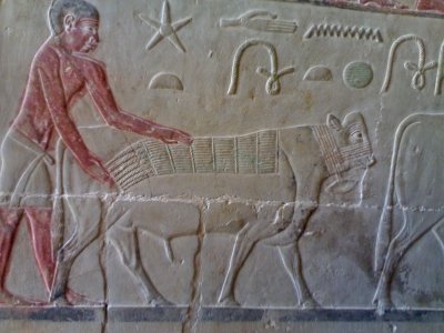 Discover Mini-Egypt in 5 days: Package(2 Capitals: Cairo & Luxor)