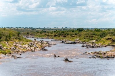 5 Days Maasai Mara-Lake Naivasha-Lake Nakuru 5 Days Maasai Mara-Lake Naivasha-Lake Nakuru