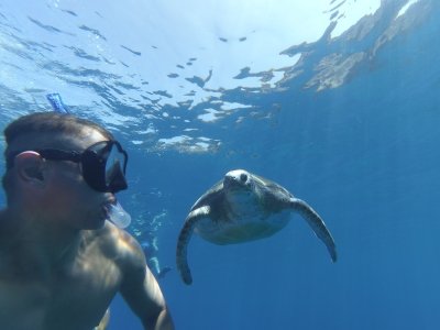 Kayaking + snorkeling with turtles Kayaking + snorkeling with turtles