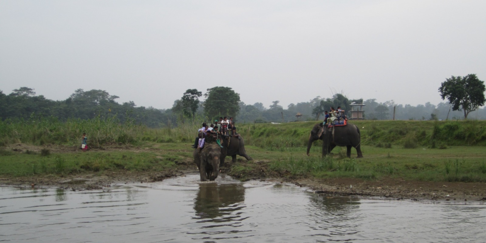 Kathmandu and Chitwan Tour