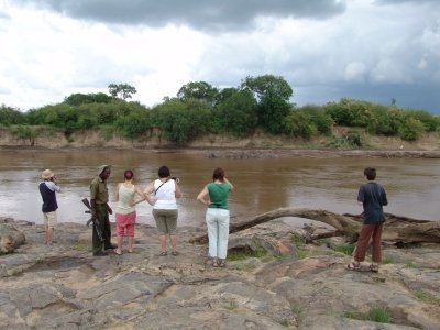 7 Days  Masai Mara/Nakuru/Naivasha budget group safari