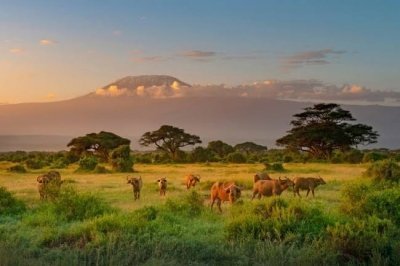 3 Days Amboseli National park private safari for 2 people