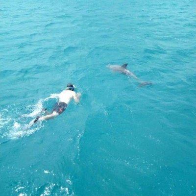 Wasini Dolphin and Snorkeling Tour
