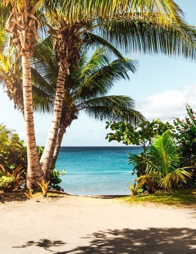 5 Days Zanzibar Safari Tour package with affordable cost. 5 Days Zanzibar Safari Tour package with affordable cost.