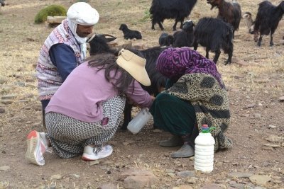 Homestay with nomads in Morocco