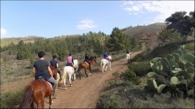 Horseback Riding Excursion in Tenerife Horseback Riding Excursion in Tenerife
