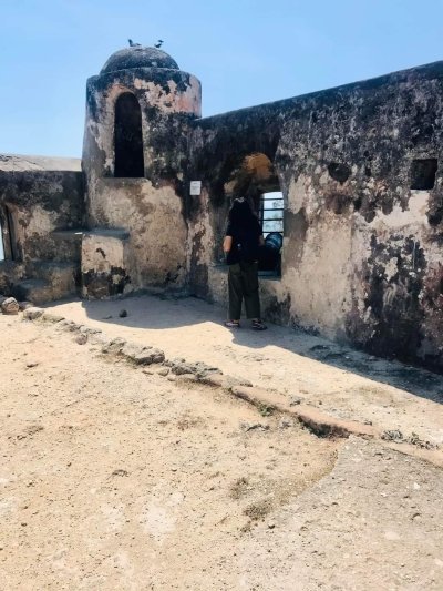 Wasini Dolphin Sunset Dhow Cruise