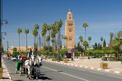 Marrakech Medina Walking Tour With official Local Guide Marrakech Medina Walking Tour With official Local Guide