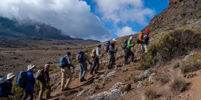Climb Mount Kilimanjaro 2023 tours via Marangu route 6 days package