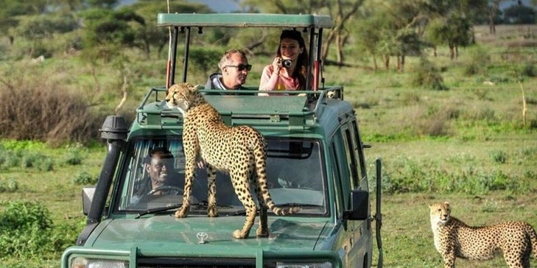 2 days Tanzania joining small group safari itinerary 2026