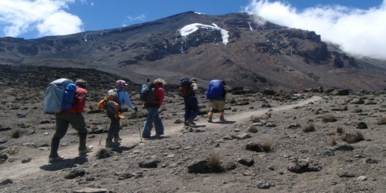 8 Days | 7 Nights Kilimanjaro Lemosho Route Trekking 2026