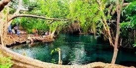 Tanzania day trip Chemka hotspring  Safari Tour Package