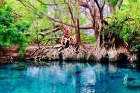 Tanzania day trip Chemka hotspring  Safari Tour Package