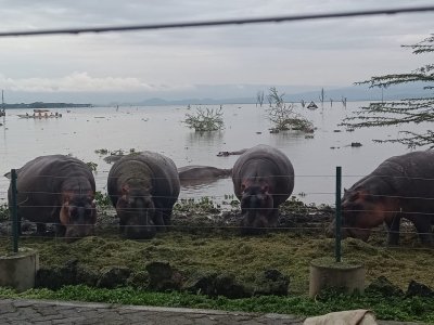 3 Day Perfect Queen Elizabeth National Park Safari